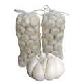 Hot sales new crop China/Chinese fresh garlic pure white garlic for wholesale